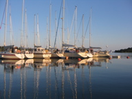 Venesatama